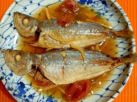 真アジの梅煮 レシピ 作り方 By テツオ63 楽天レシピ 真アジの梅煮 レシピ 作り方 By テツオ63 楽天レシピ